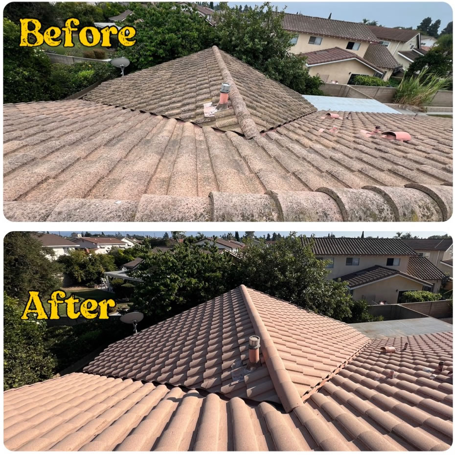 Roof Cleaning Landing Thumbnail